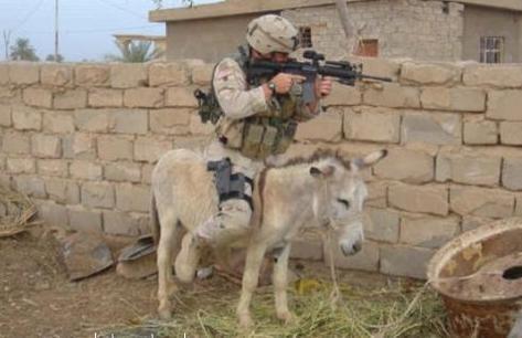 Counter-Strike-Cearence