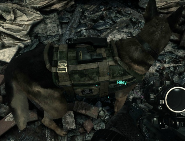 Nvidia Fur on Call of Duty Ghosts Riley