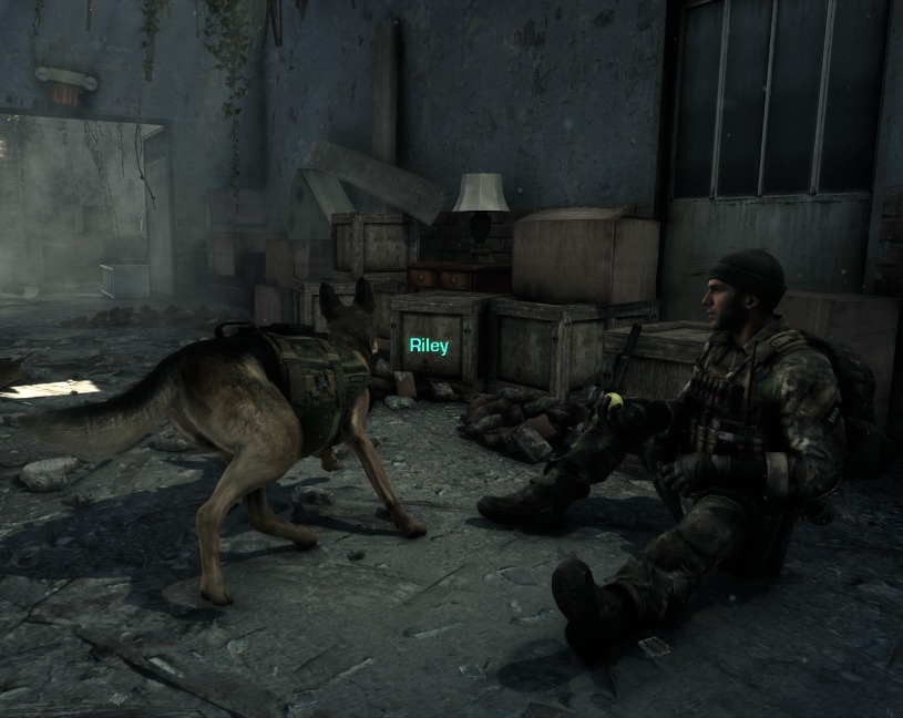 Riley Nvidia Fur COD Ghosts